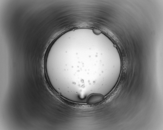 X0000096650986200802261316