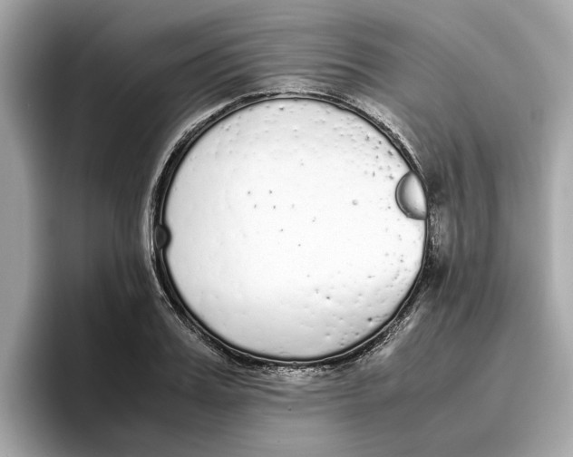 X0000096650987200802261316