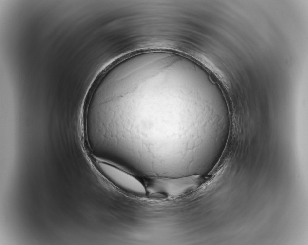 X0000096650988200802261316