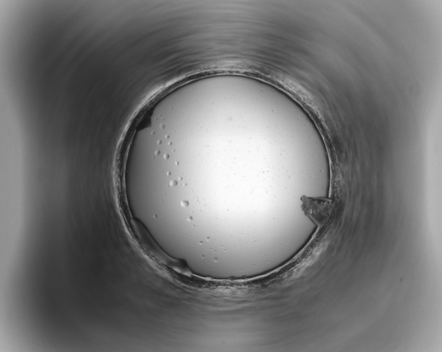 X0000096650989200802261316