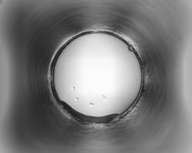 X0000096650990200802261316