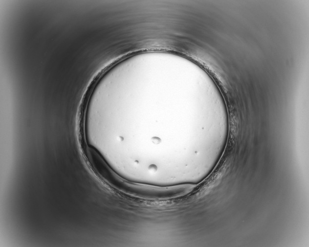 X0000096650991200802261316