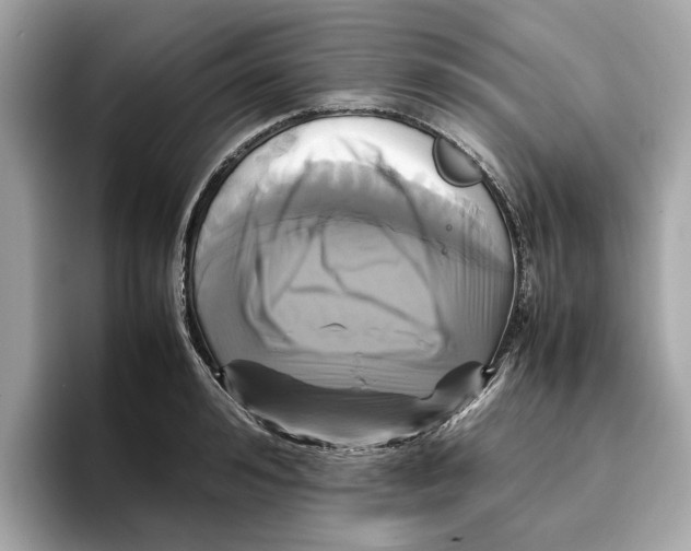 X0000096650992200802261316