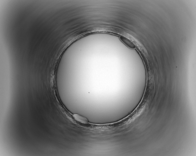 X0000096650993200802261316