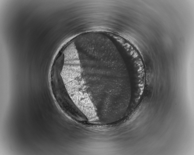 X0000096650995200802261316