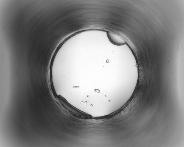 X0000096650996200802261316