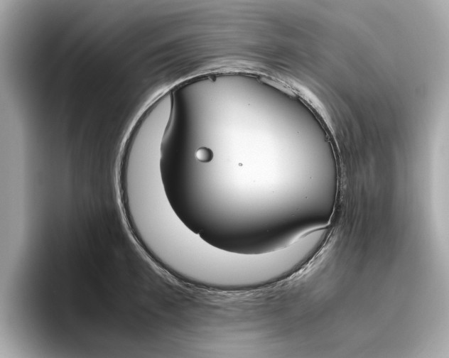 X0000096650997200802261316