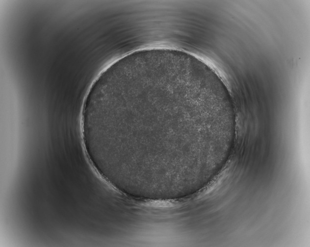 X0000096650998200802261316