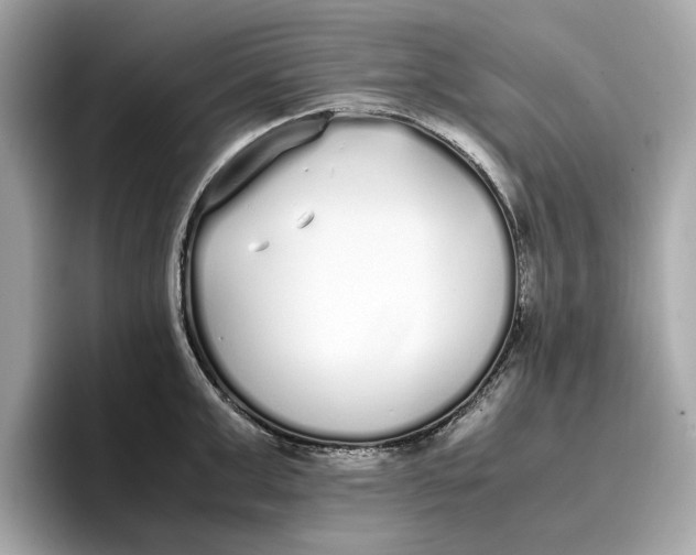 X0000096650999200802261316