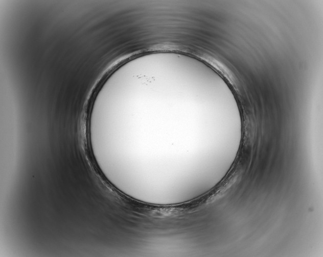 X0000096651000200802261316