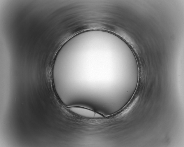 X0000096651001200802261316