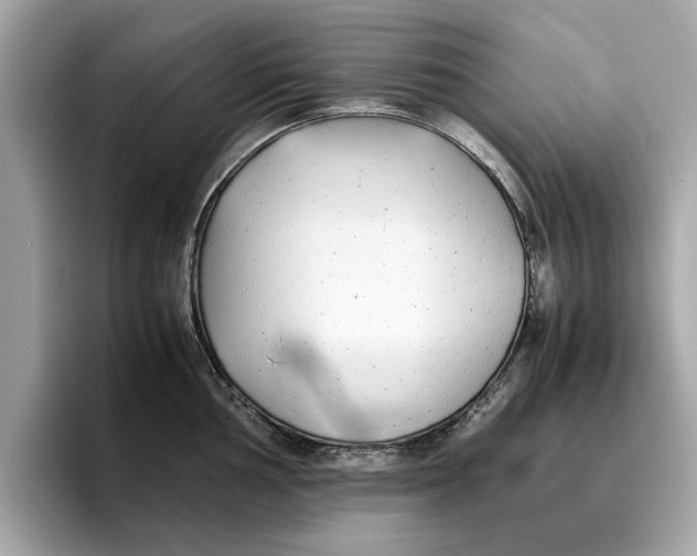 X0000096651002200802261316