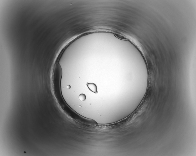 X0000096651003200802261316