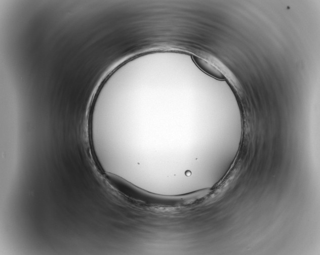 X0000096651004200802261316