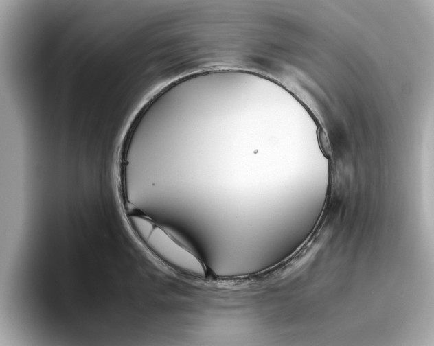 X0000096651005200802261316