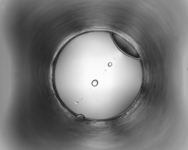 X0000096651006200802261316