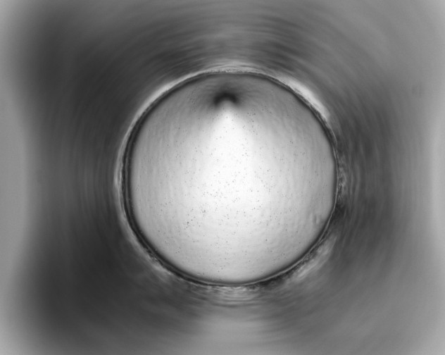 X0000096651007200802261316