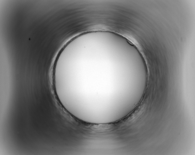 X0000096651008200802261316