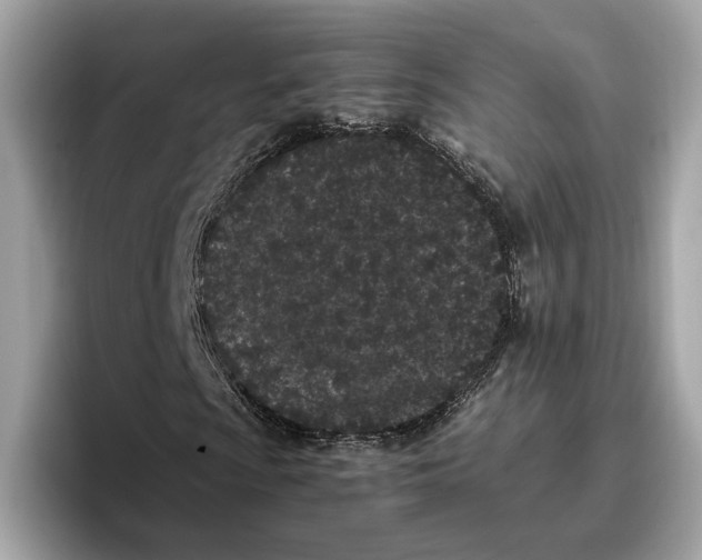 X0000096651009200802261315