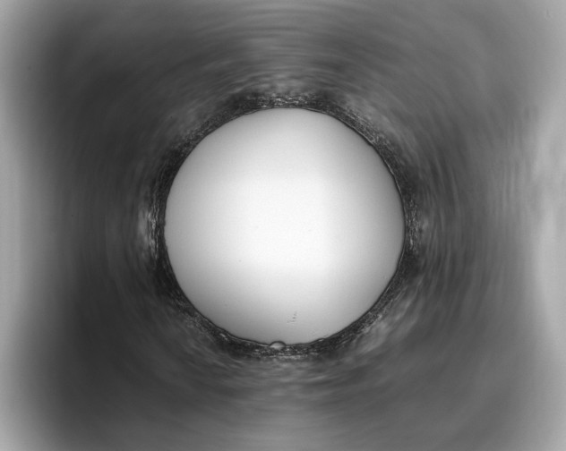 X0000096651010200802261315