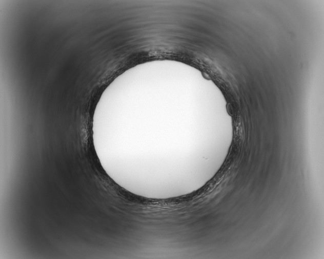 X0000096651012200802261315