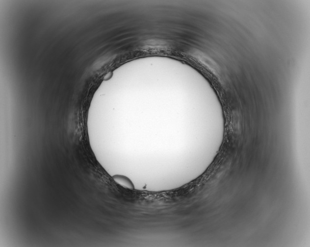 X0000096651015200802261315