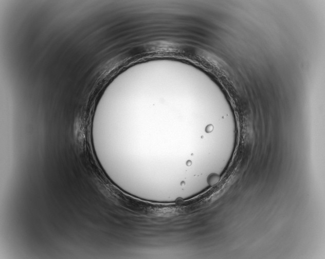 X0000096651017200802261316