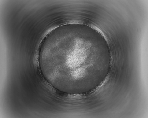 X0000096651019200802261316