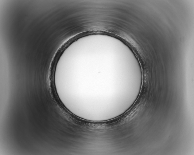 X0000096651020200802261316