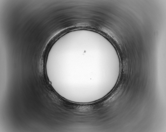 X0000096651021200802261316