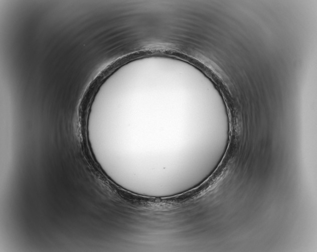 X0000096651022200802261316