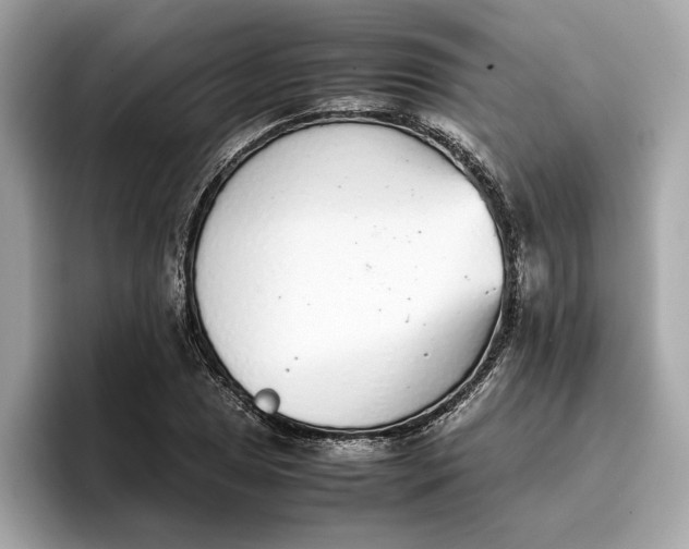 X0000096651025200802261316