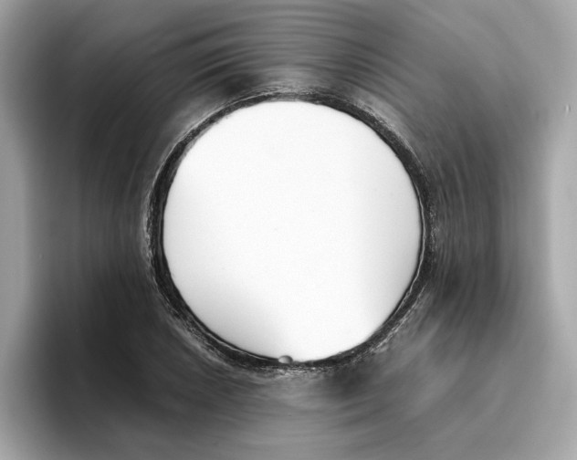 X0000096651026200802261316