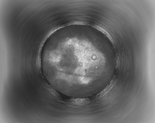 X0000096651027200802261316