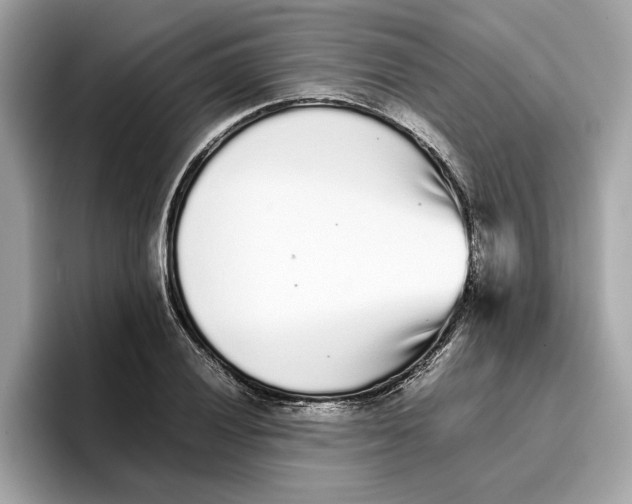 X0000096651028200802261316