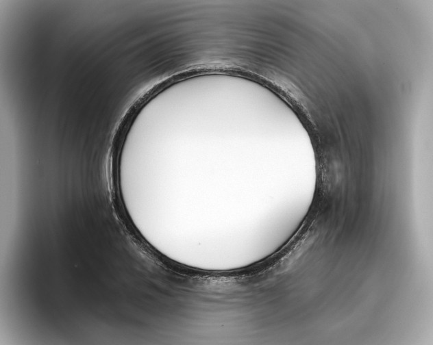 X0000096651030200802261316