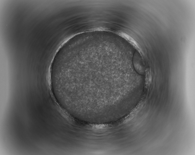 X0000096651031200802261316