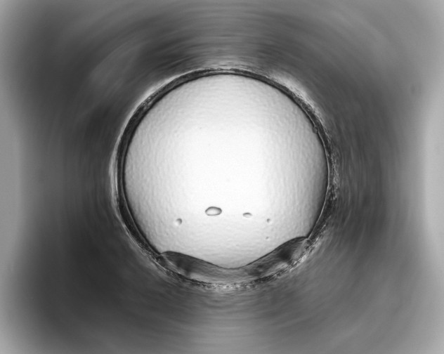 X0000096651032200802261316