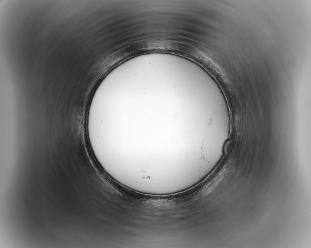 X0000096651033200802261316