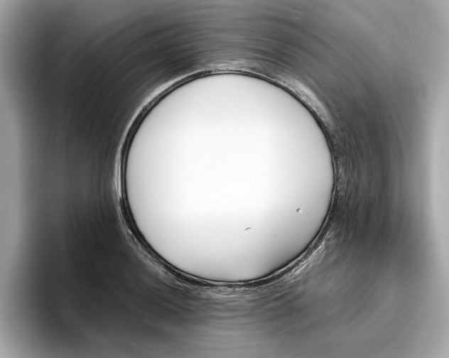 X0000096651036200802261316