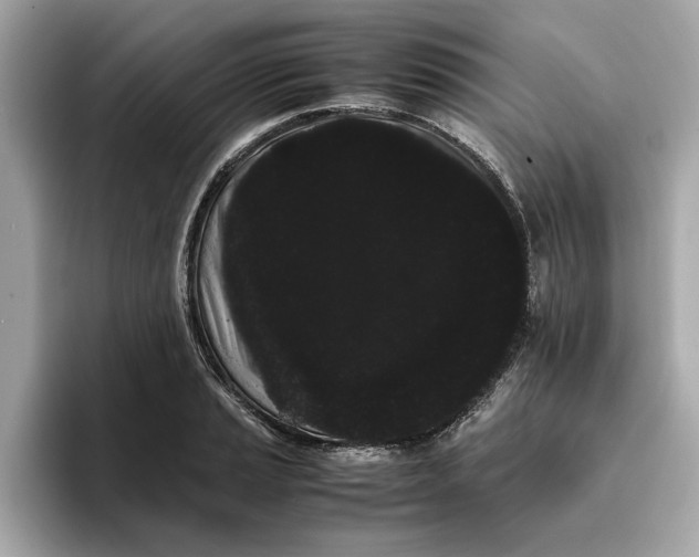 X0000096651037200802261316