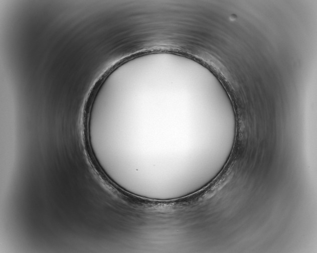 X0000096651038200802261316