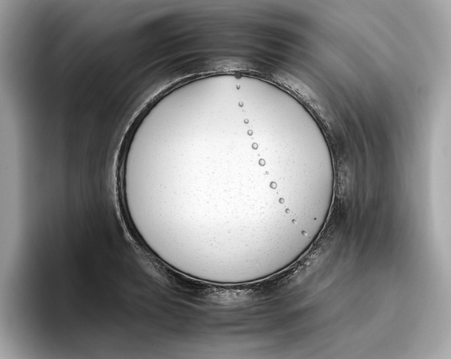 X0000096651039200802261316