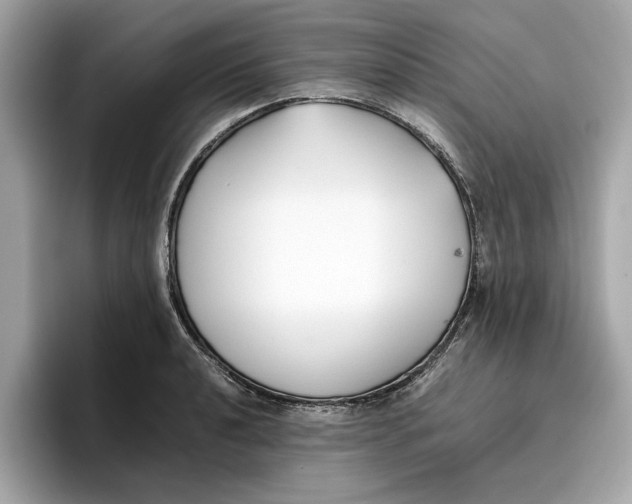 X0000096651040200802261316