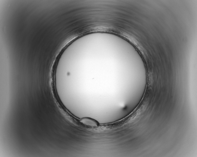 X0000096651042200802261316