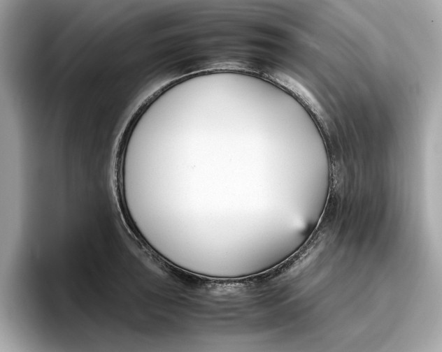 X0000096651043200802261316