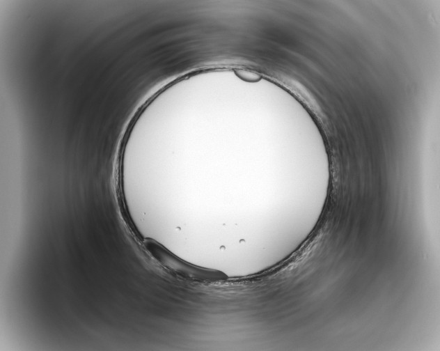 X0000096651044200802261316