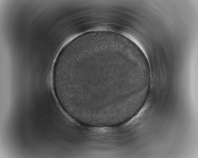 X0000096651045200802261316