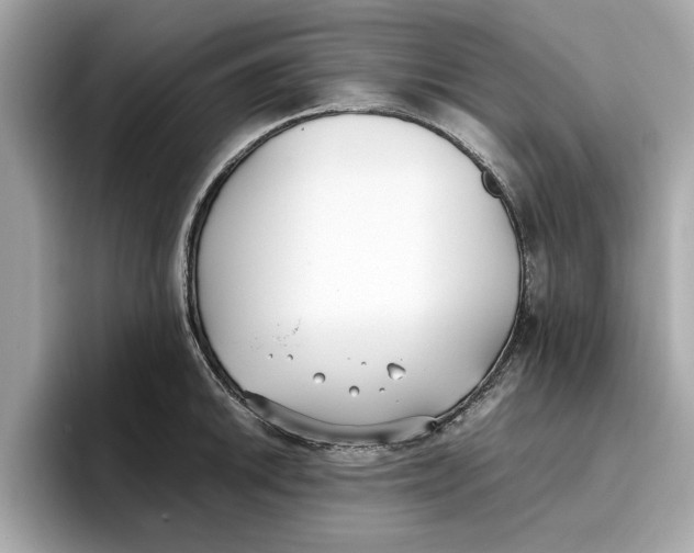 X0000096651046200802261316