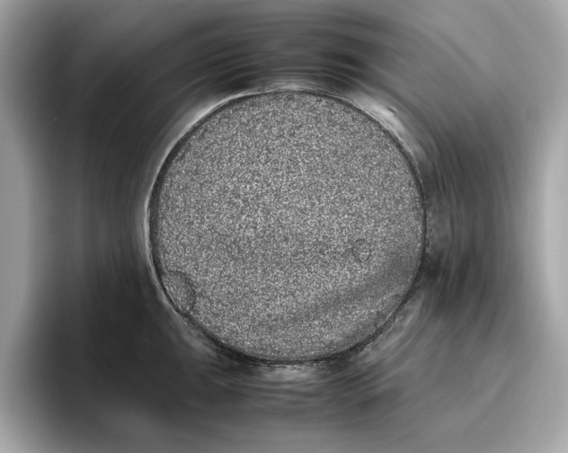 X0000096651047200802261316